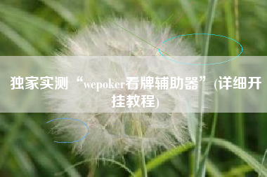 独家实测“wepoker看牌辅助器	”(详细开挂教程)