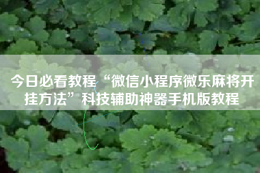 今日必看教程“微信小程序微乐麻将开挂方法	”科技辅助神器手机版教程