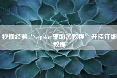 秒懂经验“wepoker辅助器教程”开挂详细教程