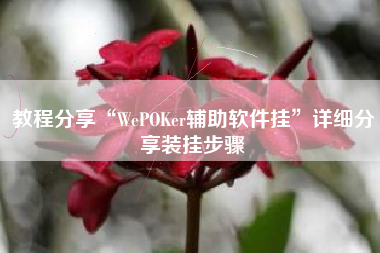 教程分享“WePOKer辅助软件挂”详细分享装挂步骤