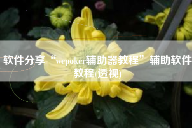 软件分享“wepoker辅助器教程”辅助软件教程(透视)