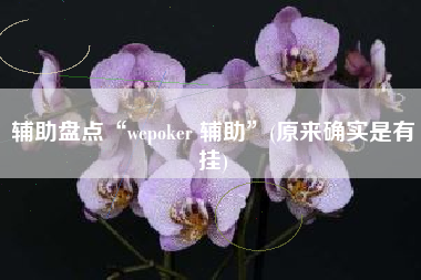 辅助盘点“wepoker 辅助”(原来确实是有挂)