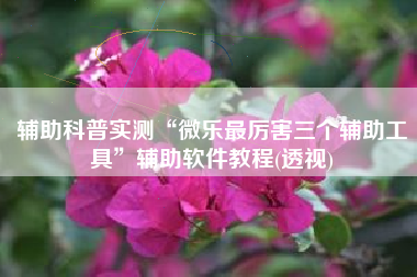 辅助科普实测“微乐最厉害三个辅助工具”辅助软件教程(透视)