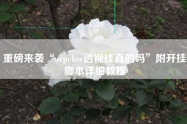 重磅来袭“wrpoker透视挂真的吗”附开挂脚本详细教程