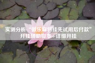 实测分析“微乐麻将挂先试用后付款”开挂辅助脚本+详细开挂