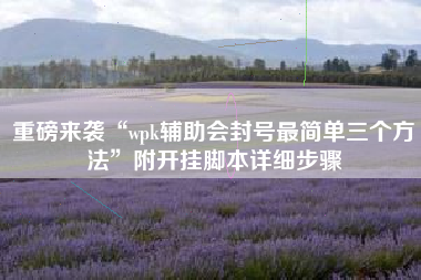 重磅来袭“wpk辅助会封号最简单三个方法”附开挂脚本详细步骤