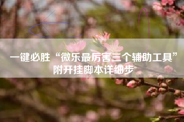 一键必胜“微乐最厉害三个辅助工具	”附开挂脚本详细步