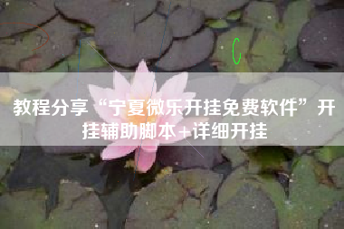 教程分享“宁夏微乐开挂免费软件”开挂辅助脚本+详细开挂