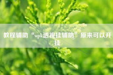 教程辅助“wpk透视挂辅助	”原来可以开挂