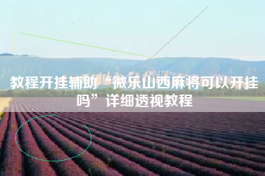 教程开挂辅助“微乐山西麻将可以开挂吗	”详细透视教程