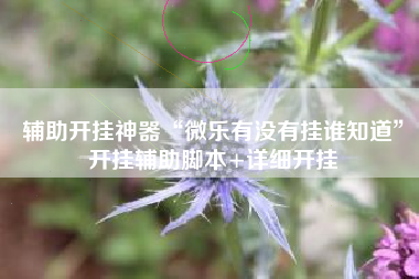 辅助开挂神器“微乐有没有挂谁知道”开挂辅助脚本+详细开挂