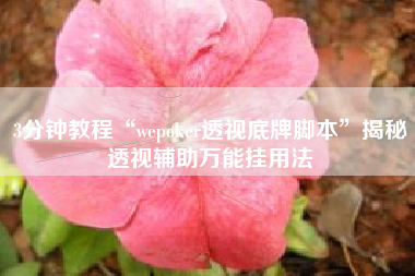 3分钟教程“wepoker透视底牌脚本”揭秘透视辅助万能挂用法