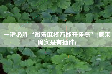 一键必胜“微乐麻将万能开挂器”(原来确实是有插件)