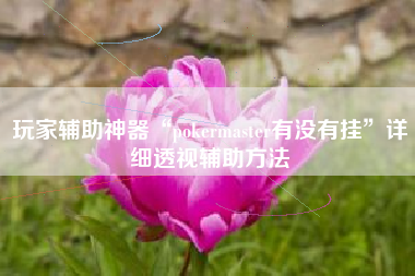 玩家辅助神器“pokermaster有没有挂	”详细透视辅助方法