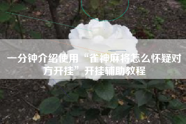 一分钟介绍使用“雀神麻将怎么怀疑对方开挂”开挂辅助教程