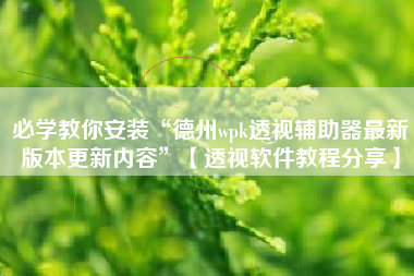 必学教你安装“德州wpk透视辅助器最新版本更新内容”【透视软件教程分享】