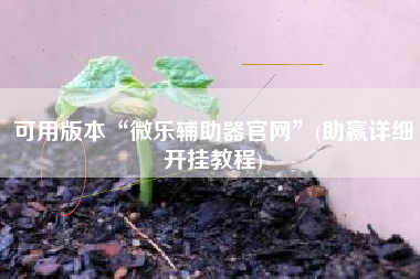 可用版本“微乐辅助器官网”(助赢详细开挂教程)