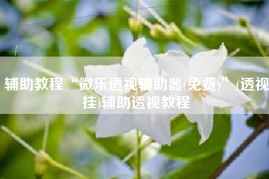 辅助教程“微乐透视辅助器(免费)”(透视挂)辅助透视教程