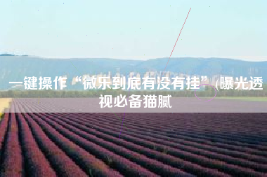 一键操作“微乐到底有没有挂”(曝光透视必备猫腻