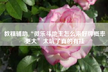 教程辅助“微乐斗地主怎么来好牌概率更大	”太坑了真的有挂