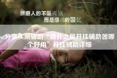 分享实测辅助“德扑之星开挂辅助器哪个好用	”开挂辅助详细