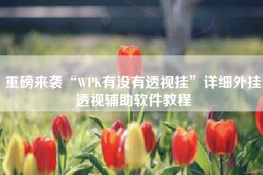 重磅来袭“WPK有没有透视挂	”详细外挂透视辅助软件教程