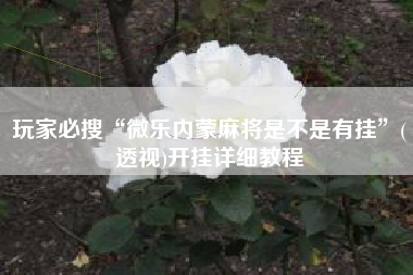 玩家必搜“微乐内蒙麻将是不是有挂	”(透视)开挂详细教程