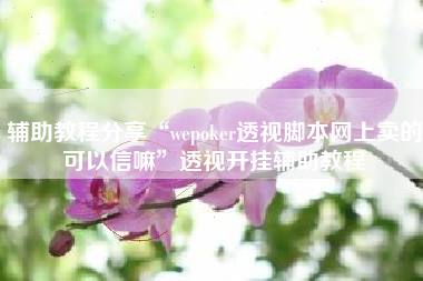辅助教程分享“wepoker透视脚本网上卖的可以信嘛”透视开挂辅助教程
