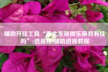 辅助开挂工具“重大发现微乐麻将有挂吗	”(透视挂)辅助透视教程