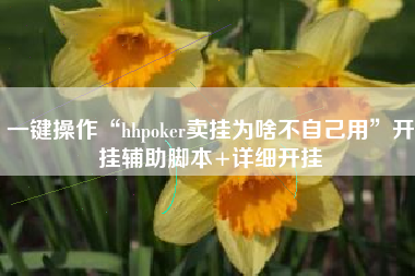 一键操作“hhpoker卖挂为啥不自己用”开挂辅助脚本+详细开挂