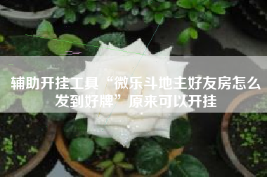 辅助开挂工具“微乐斗地主好友房怎么发到好牌	”原来可以开挂