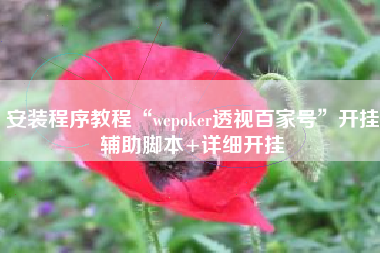 安装程序教程“wepoker透视百家号	”开挂辅助脚本+详细开挂