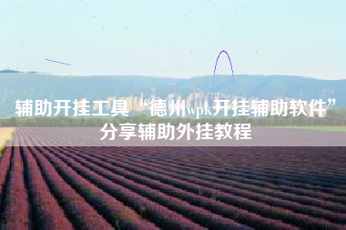 辅助开挂工具“德州wpk开挂辅助软件”分享辅助外挂教程