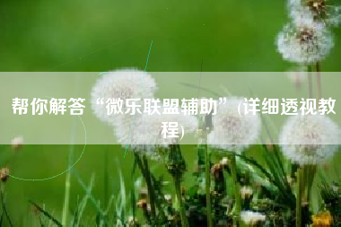 帮你解答“微乐联盟辅助	”(详细透视教程)