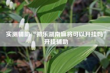 实测辅助“微乐湖南麻将可以开挂吗”开挂辅助