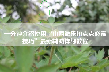 一分钟介绍使用“山西微乐扣点点必赢技巧”最新辅助详细教程