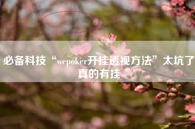 必备科技“wepoker开挂透视方法”太坑了真的有挂