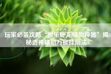 玩家必备攻略“微乐卧龙辅助神器	”揭秘透视辅助万能挂用法