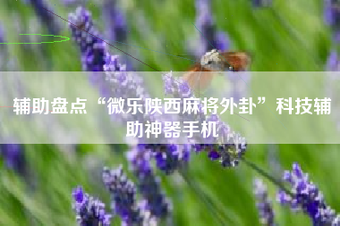 辅助盘点“微乐陕西麻将外卦	”科技辅助神器手机