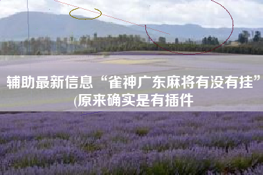 辅助最新信息“雀神广东麻将有没有挂	”(原来确实是有插件