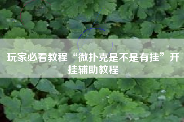 玩家必看教程“微扑克是不是有挂”开挂辅助教程