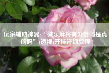 玩家辅助神器:“微乐麻将有外卦吗是真的吗”(透视)开挂详细教程