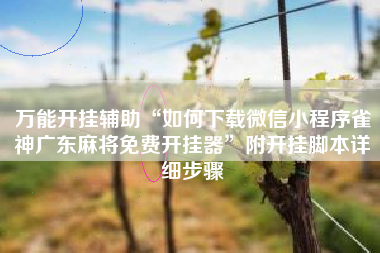 万能开挂辅助“如何下载微信小程序雀神广东麻将免费开挂器”附开挂脚本详细步骤