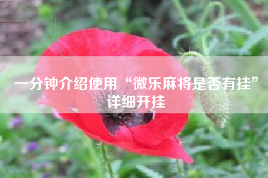 一分钟介绍使用“微乐麻将是否有挂	”详细开挂