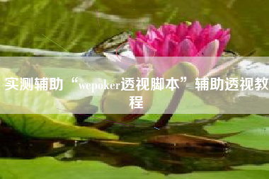 实测辅助“wepoker透视脚本	”辅助透视教程