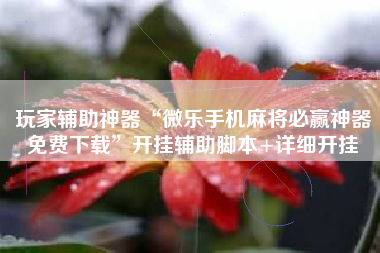 玩家辅助神器“微乐手机麻将必赢神器免费下载	”开挂辅助脚本+详细开挂