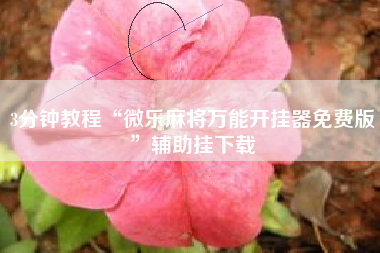 3分钟教程“微乐麻将万能开挂器免费版”辅助挂下载