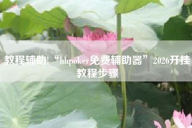 教程辅助!“hhpoker免费辅助器	”2026开挂教程步骤