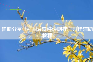 辅助分享“wepoker软件透明挂	”开挂辅助教程