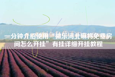 一分钟介绍使用“微乐河北麻将免费房间怎么开挂”有挂详细开挂教程